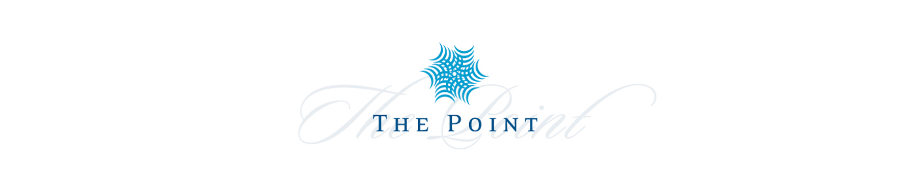 The Point banner on white background