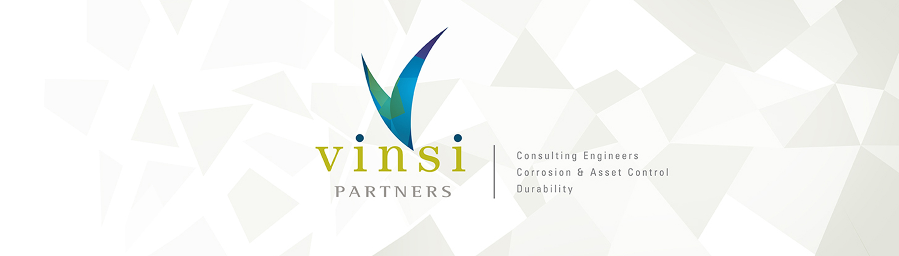 VINSI Partners Logo Banner