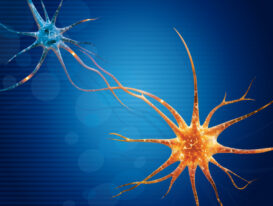 Newcastle Neuro Diagnostics Intro Graphic