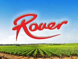 Rover Coaches Branding Brand and Logo and vineyard
