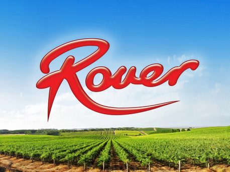 Rover Coaches Branding Brand and Logo and vineyard